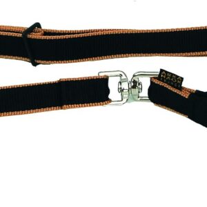 Martin Sellier Safran — Laisse collier 25 mm x 100 cm