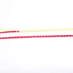 MARTIN — Laisse bicolore en nylon pour chat