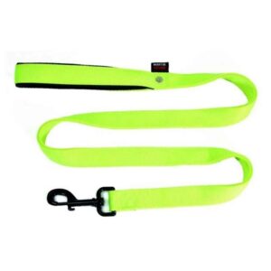 MARTIN — Laisse pour chien en nylon double épaisseur vert 120 cm