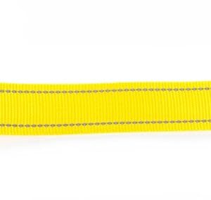 MARTIN — Laisse pour chien en nylon Néo