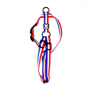 MARTIN — Harnais tricolore en nylon