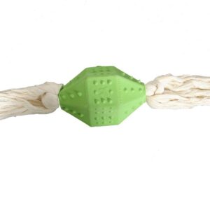 MARTIN — Jouet rugby dentaire pour chien 13 cm