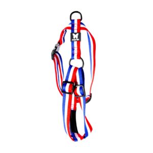 MARTIN — Harnais tricolore en nylon