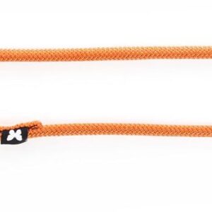 MARTIN — Laisse ronde classique en nylon