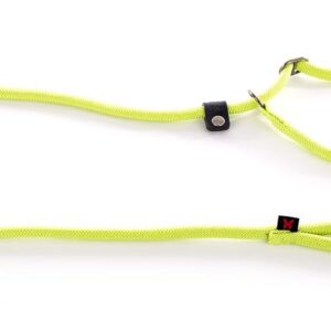 martin Classique — Laisse avec collier d’éducation nylon 180 cm