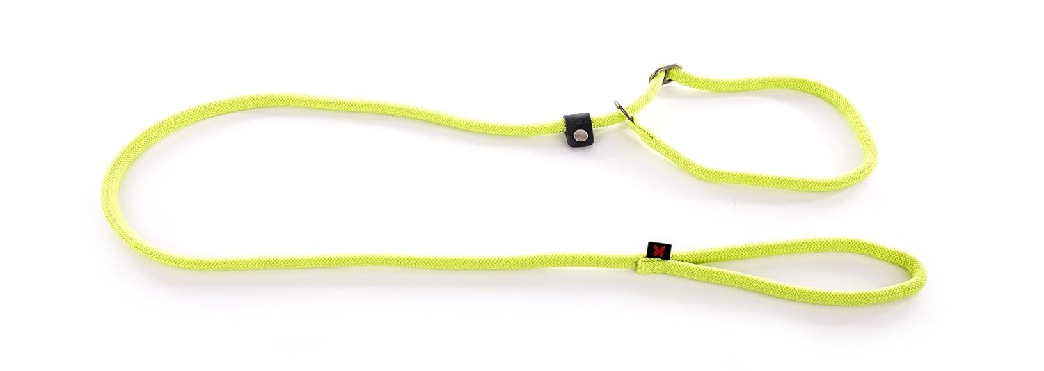 martin Classique — Laisse avec collier d’éducation nylon 180 cm