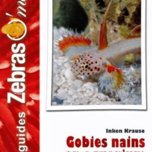 ANIMALIA — Gobies nains pour aquarium