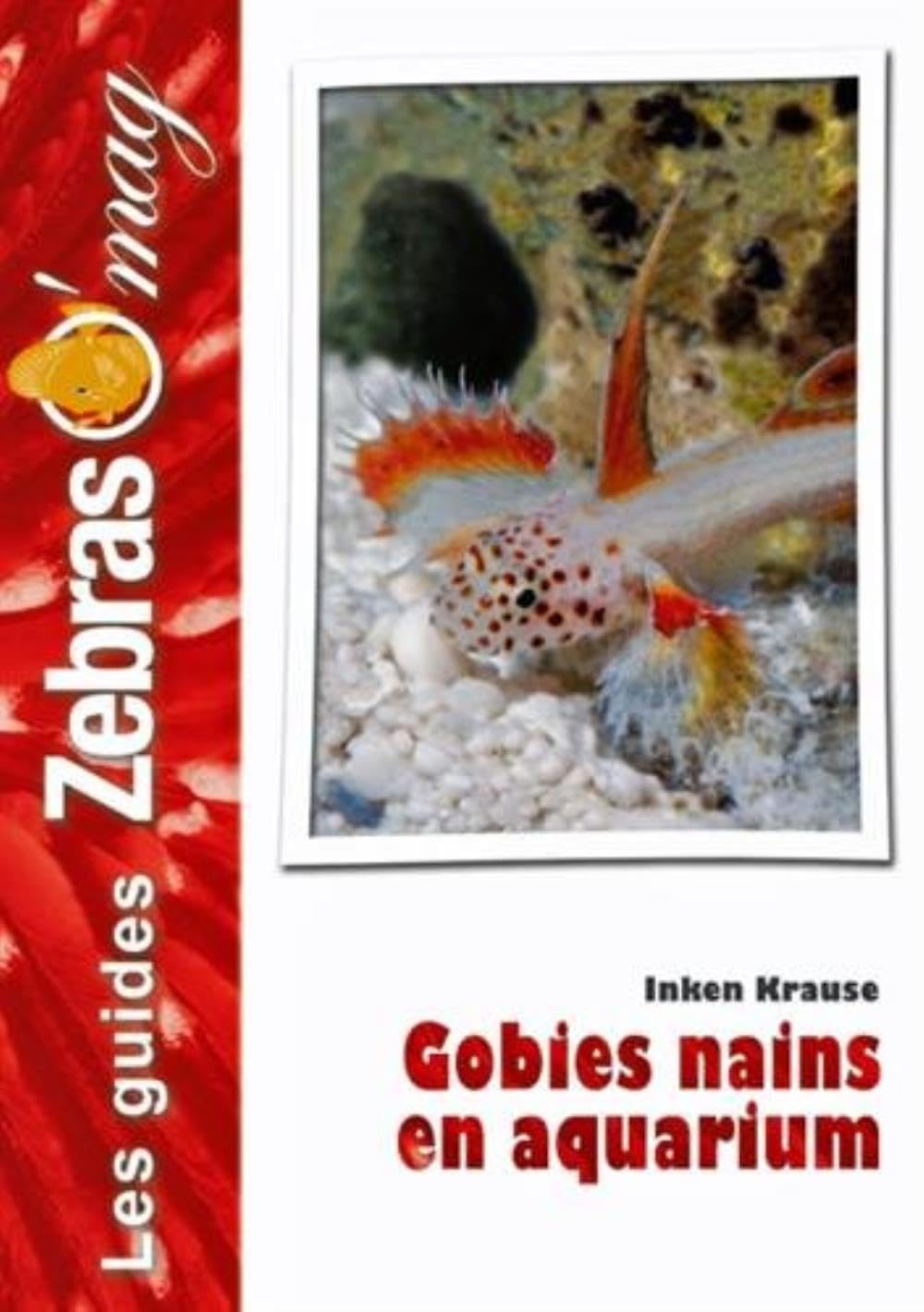 ANIMALIA — Gobies nains pour aquarium