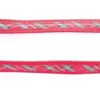 MARTIN SELLIER Benton — Laisse en nylon pour chien 25/100