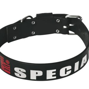 MARTIN O.A Spécial — Collier pour chien en cuir 45 cm x 25 mm