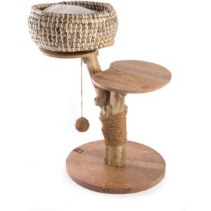 MARTIN Café — Arbre à chat 60 x 42 x 58 cm