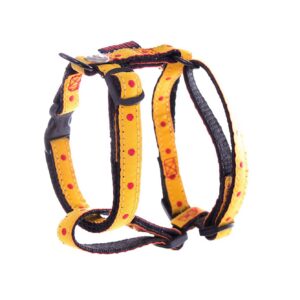 MARTIN — Harnais baudrier en nylon