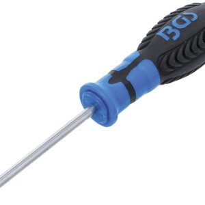 BGS — Tournevis profil T percé T15, lame 80 mm