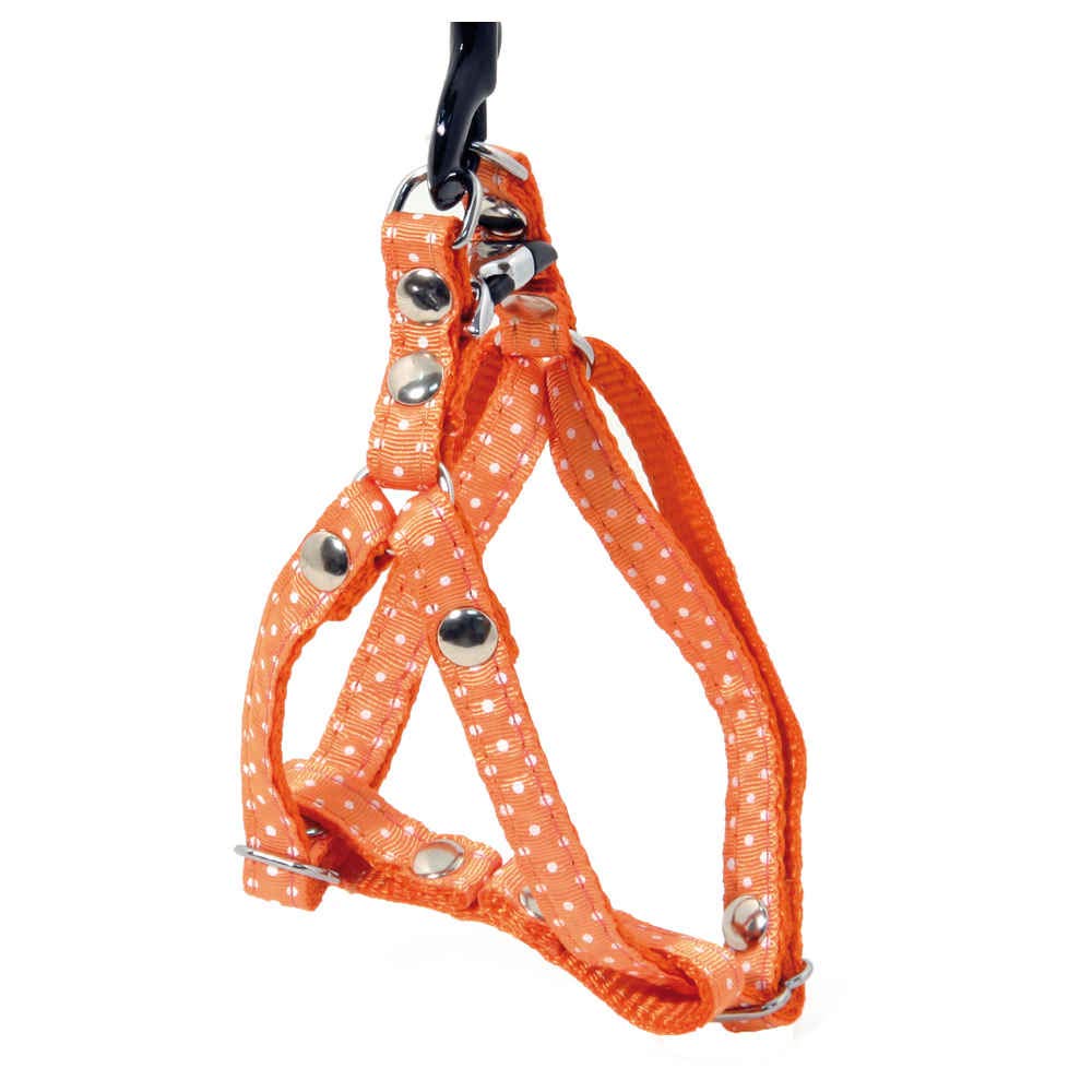 ALTER EGO — Harnais en nylon à pois orange 17-27 cm