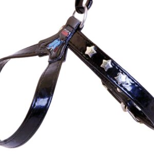 MARTIN SELLIER T35 — Harnais pour chien vernis étoile