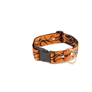 ALTEREGO — Collier pour chien orange 40-64 cm x 40 mm