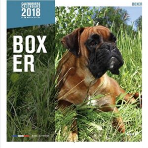 MARTIN SELLIER — Calendrier 2018 Boxer