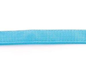 MARTIN — Laisse pour chien en nylon double épaisseur 60 cm