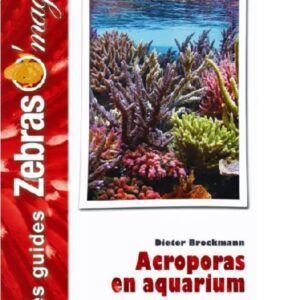 ANIMALIA — Acroporas en aquarium