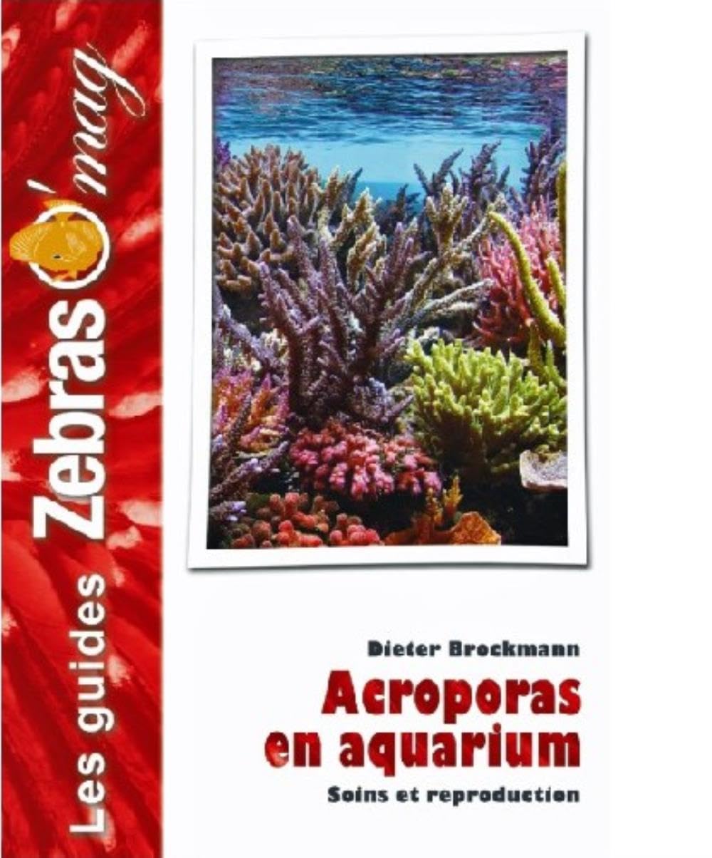 ANIMALIA — Acroporas en aquarium