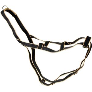 MARTIN SELLIER Traîneau — Harnais chien taille M