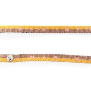 MARTIN — Laisse bicolore en nylon pour chat