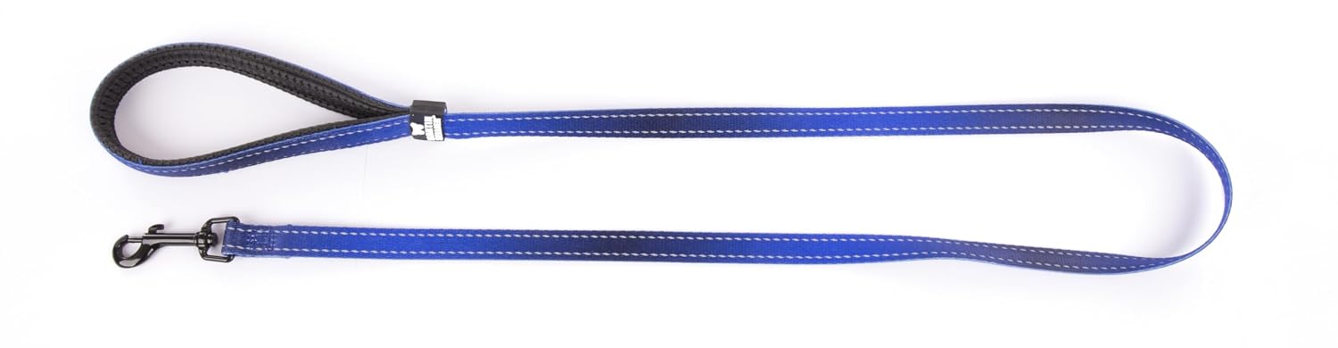 MARTIN SELLIER Color Vibe — Laisse en nylon bleu 16 mm