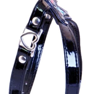 MARTIN SELLIER T35 — Harnais vernis pour chien