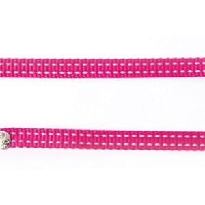 MARTIN — Laisse en nylon pour chat Flash