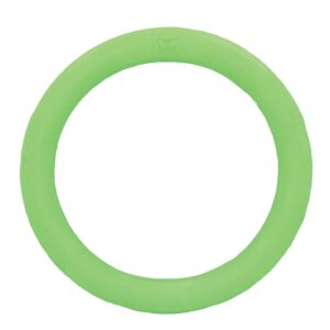 Simply Fido Rubb N Roll — Jouet anneau pour chien 15,2 cm vert