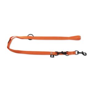 MARTIN — Laisse multiposition en nylon 2 cm x 200 cm orange