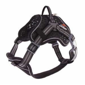 ARKA HAOK — Harnais multisports pour chien
