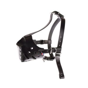 MARTIN — Muselière pour chien en cuir noir spéciale Amstaff T2