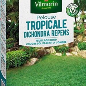 VILMORIN — Pelouse tropicale Dichondra repens 500 g