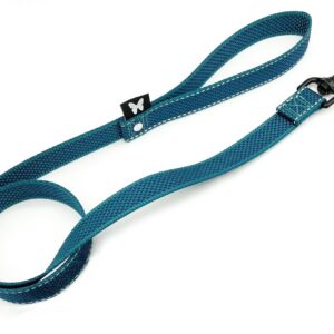 MARTIN — Laisse en nylon à pois