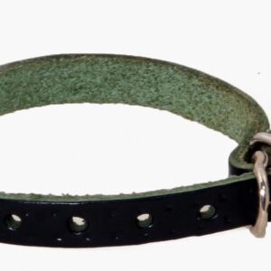 MARTIN SELLIER Rive — Collier d’identification pour chien vert