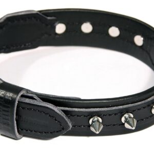 MARTIN SELLier — Collier pour chien en cuir clouté 50 cm x 30 mm
