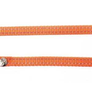 MARTIN — Laisse en nylon pour chat Flash