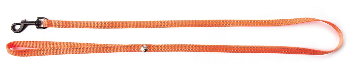 MARTIN — Laisse en nylon pour chat Flash