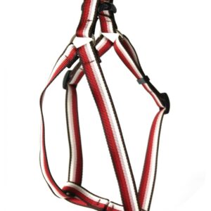 ARKA HAOK Baya — Harnais pour chien 41-72 cm