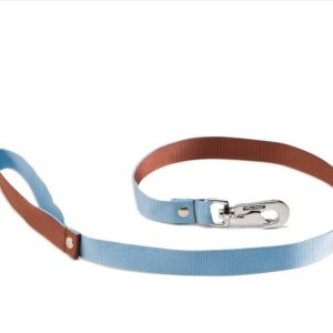 ALTER EGO — Laisse pour chien bleue et marron 100 cm x 25 mm