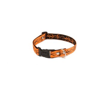 ALTEREGO — Collier pour chien tatou orange 35-55 cm x 25 mm