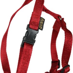 ARKA HAOK Collection Rubis — Harnais pour chien