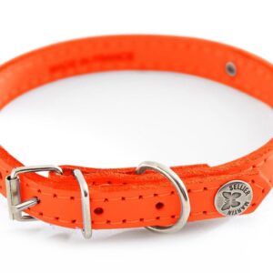 MARTIN — Collier classique en cuir coloré surpiqué avec plaque