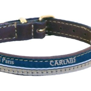 MARTIN SELLIER Galon — Collier en cuir pour chien 12/30