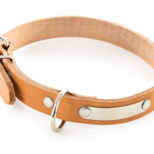 MARTIN — Collier en cuir pour chien 18 à 45 cm