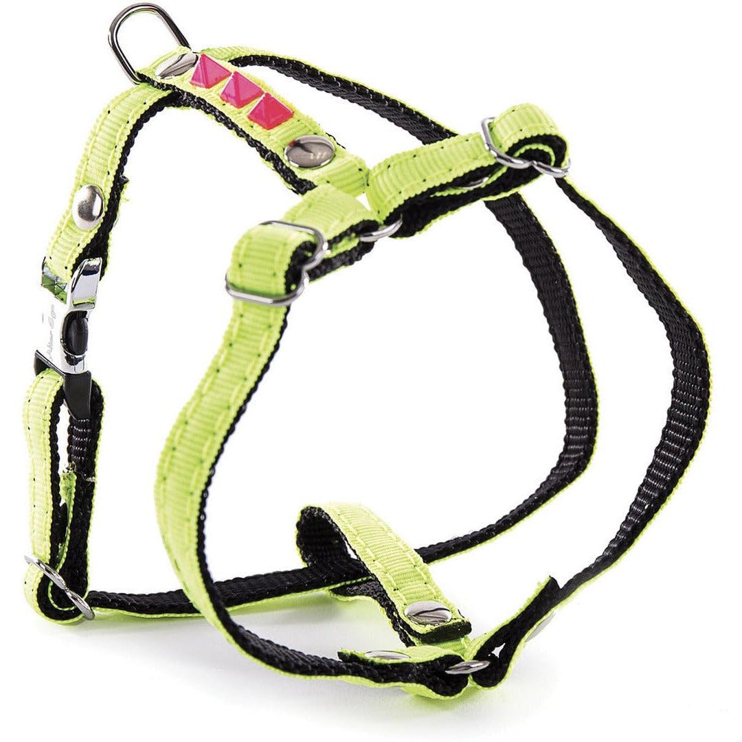 MARTIN SELLIER Fluo — Harnais vert 15-35/45