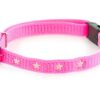 MARTIN SELLIER — Collier pour chat en nylon argenté