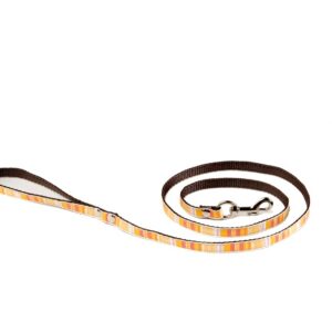 ALTER EGO Scarlett — Laisse 10 mm x 100 cm multicolore jaune
