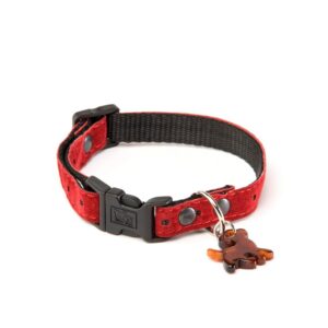 ALTER EGO 5EME Avenue — Collier pour chien rouge 15 mm